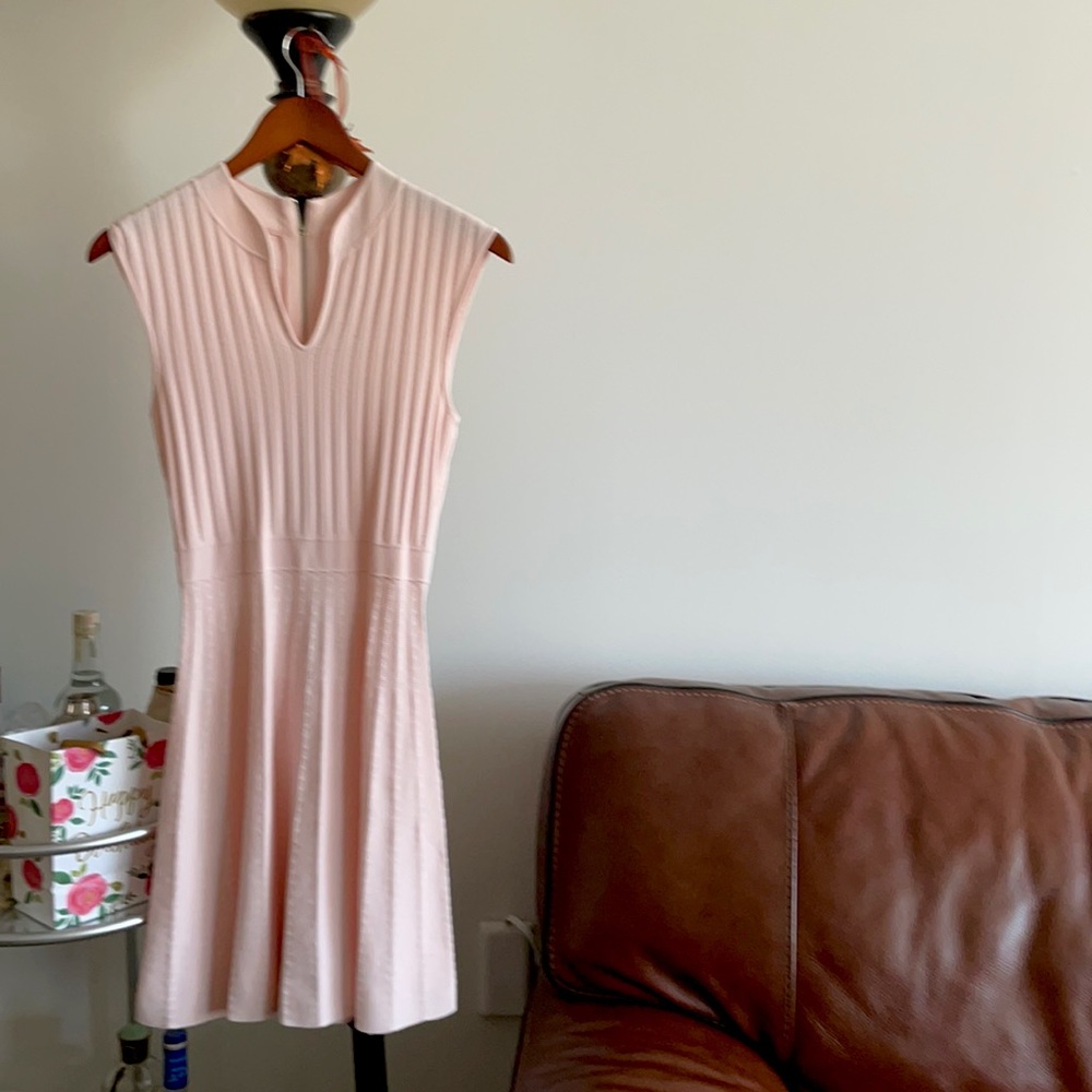 Ted baker dress